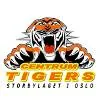 辛卓老虎