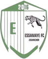 埃萨马耶FC