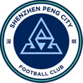 深圳新鹏城翠园初中U15